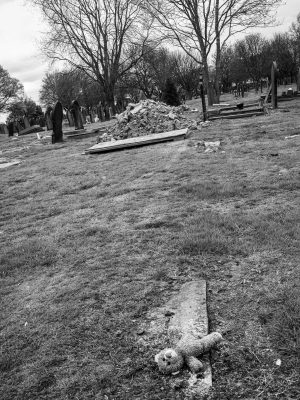 From the Cradle to the Grave