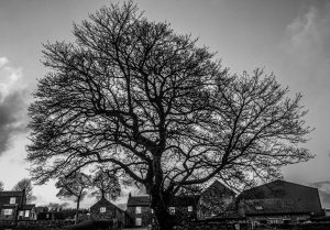 The top of Long Line