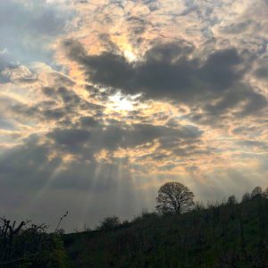 Shafts above Rivelin