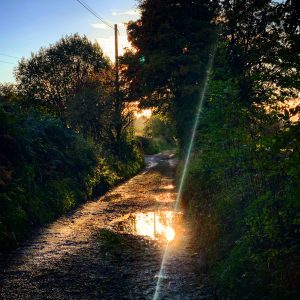 Liquid Gold in the Rivelin Valley