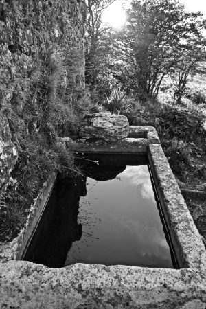 Patrick's Well - County Clare